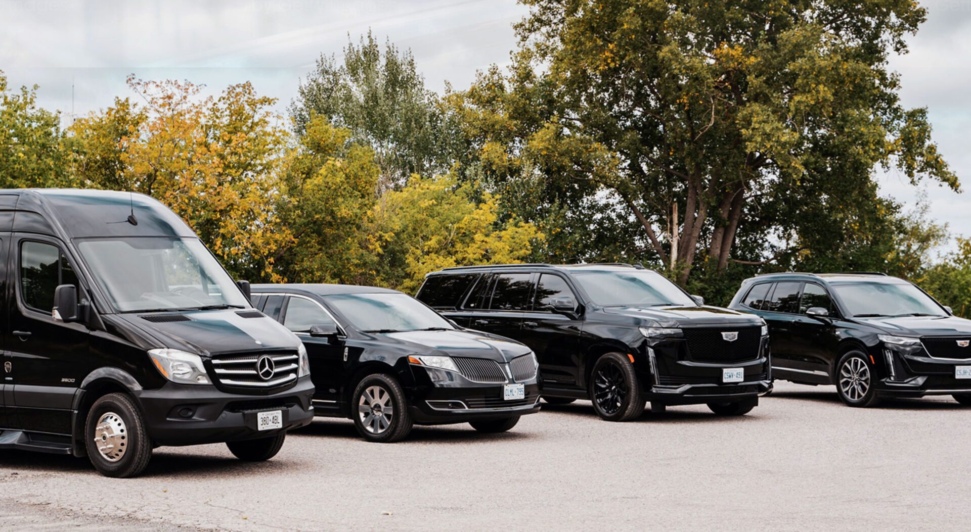 Ride in style with our luxurious fleet